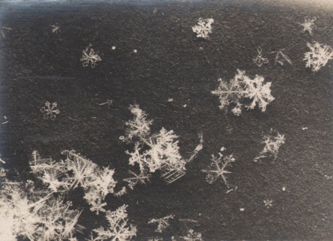 F QUENISSET PHOTOGRAPH OF SNOWFLAKE CRYSTALS, 1917