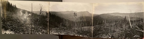 OREGON PACIFIC COAST LOGGING VIEWS GEO WEISTER PHOTO ALBUM