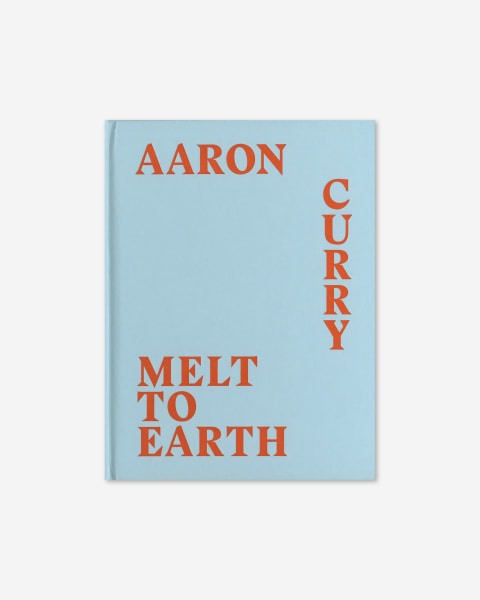 Aaron Curry: Melt to Earth (2014) catalogue cover