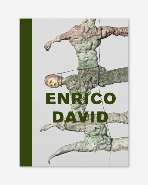 Enrico David (2017) catalogue cover