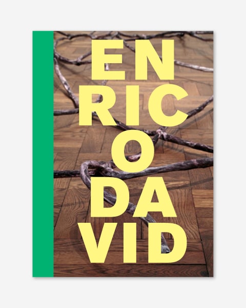 Enrico David: Nerve Ending (2012) catalogue cover