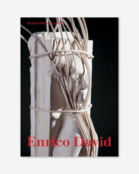 Enrico David (2013) catalogue cover