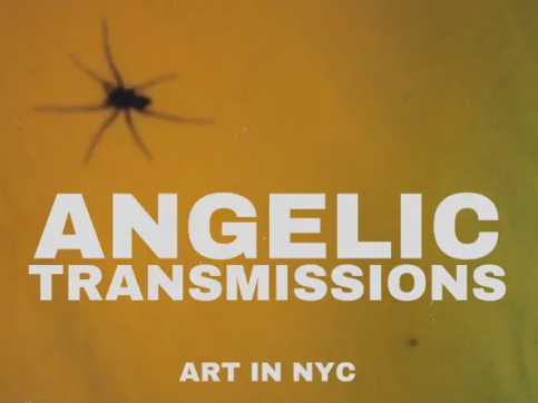 Logo for radio show Angelic Transmissions: spider on ochre background