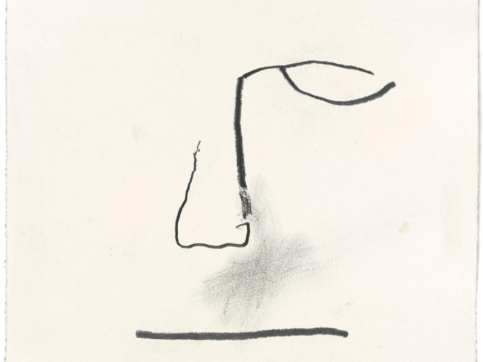 jimmie durham's caliban codex for moma collection