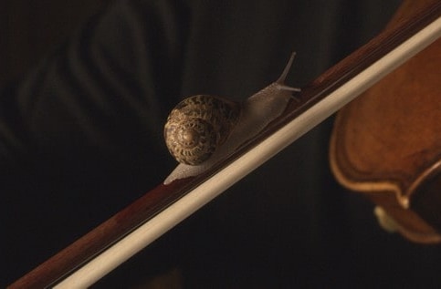 Anri Sala participates in Castillo Di Rivoli in Turin with her exhibition As You Go