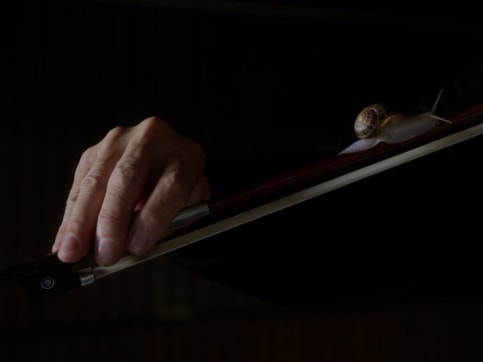 exposición | anri sala: if and only if