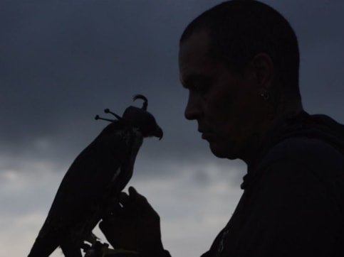 miguel calderón - materia estética disponible