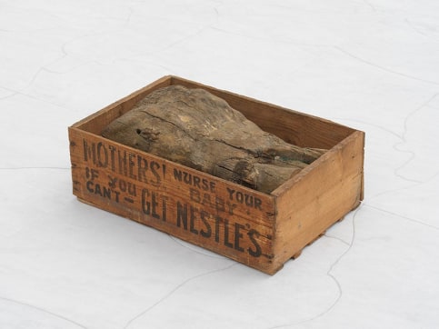 press: Vienna's Secession opens an exhibition of works by Danh Vo