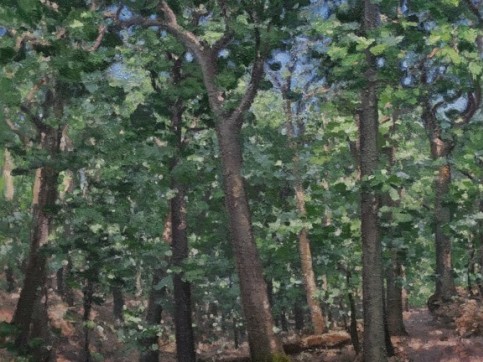 Woodlands, Kurt Moyer, Oil On Canvas