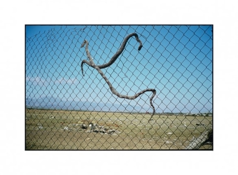 Calderon photo of fence