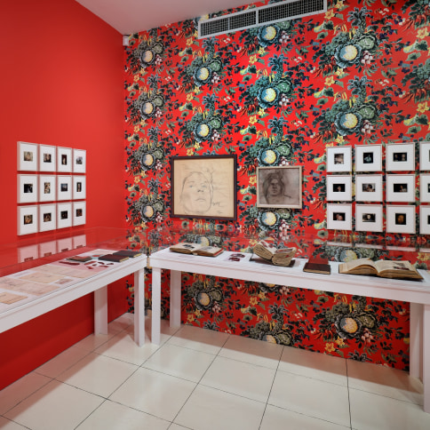 Image of exhibition installation with objects on walls and in vitrines