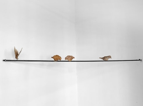 NATHAN HUFF , Birds on a Wire II, 2025