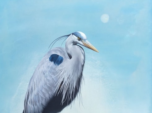 SUSAN MCDONNELL, Blue Heron, 2023