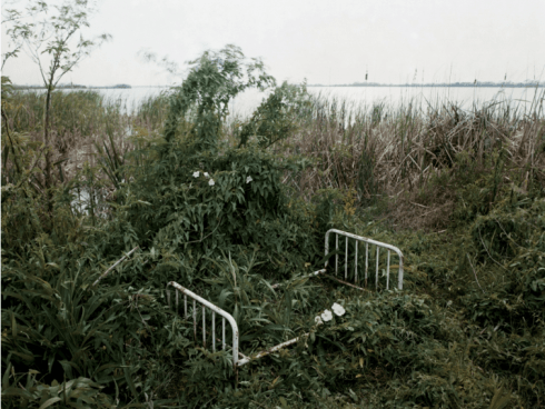 Alec Soth in Revealing Pictures: Photographs from the Christopher E. Olofson Collection