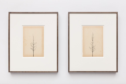 Marina Abramović and Peter Liversidge in SELF-SIMILAR
