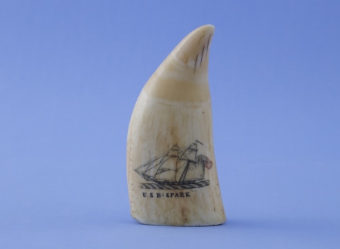 Polychrome Scrimshaw Whales Tooth Titled &quot;U.S.B. SPARK&quot;, American Circa 1840