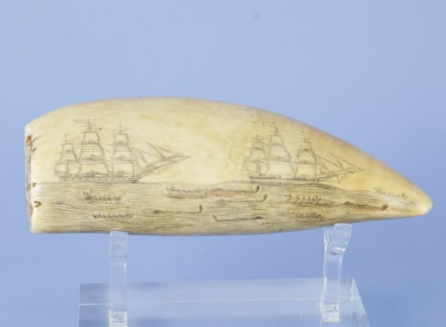 Scrimshaw Whales Tooth with Whaling and Harbor Scenes, American Mid- 19th Century, Mid- 19th Century