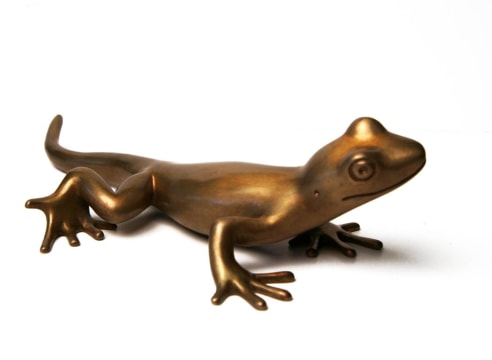 Gecko