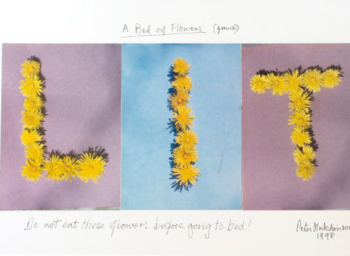 Peter Hutchinson | Summer Thrown Ropes