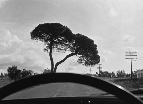 Joel Meyerowitz: European Trip: Photographs from the Car, 1968