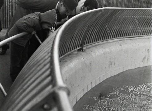 Garry Winogrand