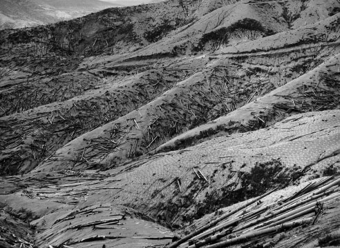 Frank Gohlke: Mount St. Helens