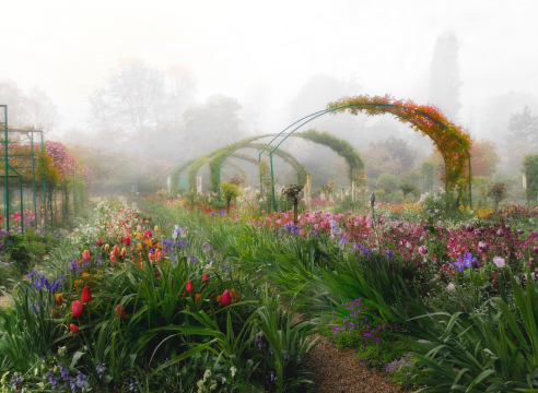 Aileen Bordman: Monet's Garden