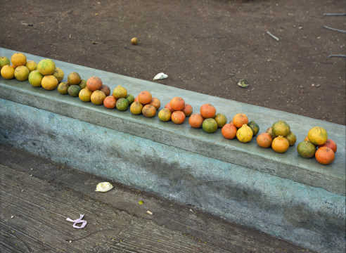 Stephen Shore | Mexichrome. Photography and color in Mexico