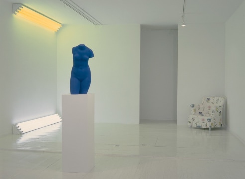 An Installation - Dan Flavin, Robert Gober, Yves Klein