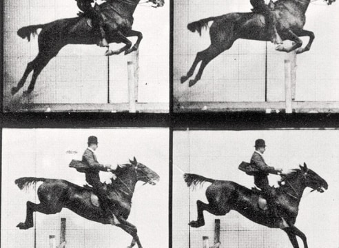 Sequence of black and white photos showing a horse with rider leaping over a hurdle.