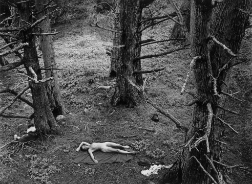 Wynn Bullock Woman and Dog in the Forest