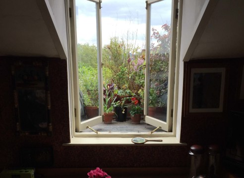 a view out a window onto lush foliage 