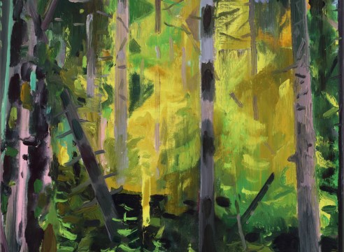 Eric Aho: Northern Tier