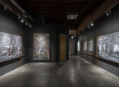 Rodrigo Valenzuela installation view