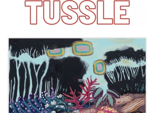 Melanie Daniel review in Tussle Magazine Projects