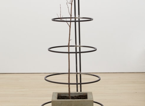 Charles Harlan, Within, 2021, sculpture