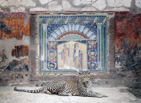 KAREN KNORR