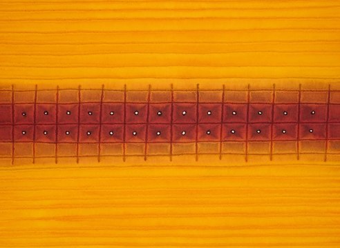 Sohan Qadri, Path III, 2004, ink and dye on paper, 116.84 x 152.40 cm (46 x 60 inches )