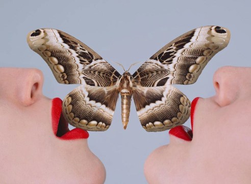 Tyler Shields
