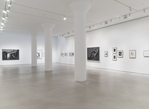 Jay DeFeo