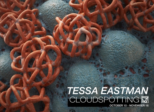 Tessa Eastman: CLOUDSPOTTING