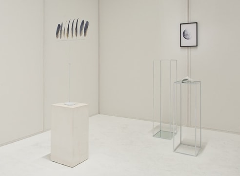 Hammer Projects: Sara VanDerBeek
