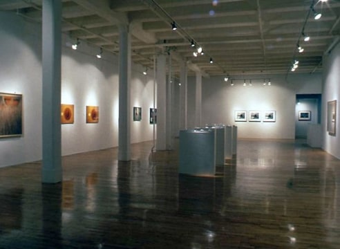 Louise Lawler