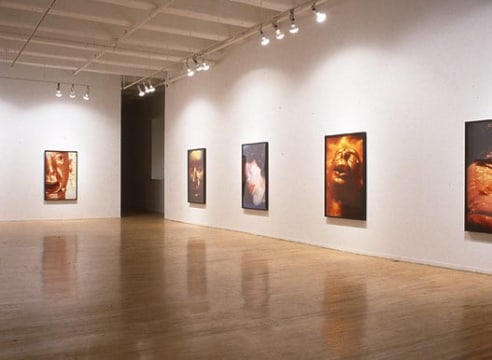Cindy Sherman