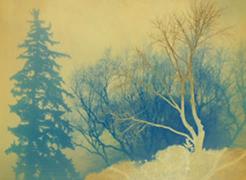 Joyce Tenneson