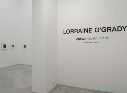 Lorraine O'Grady: Aproximación Inicial