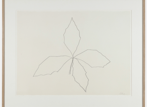 Ellsworth Kelly