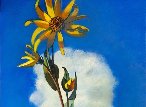HANK PITCHER , Arnica and Cloud, Telluride, 2018