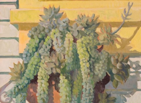 MEREDITH BROOKS ABBOTT: Homestead with Succulents as an example