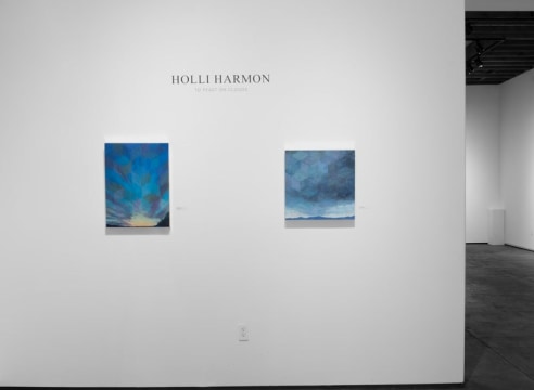 Installation photograph of HOLLI HARMON: To Feast on Clouds